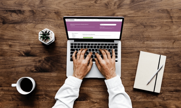 Boost your Revenues: 5 best WooCommerce Plugins to facilitate product sales